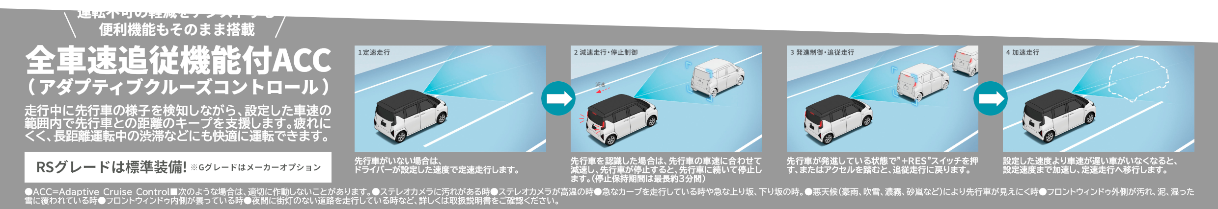 ダンディスポーツACC