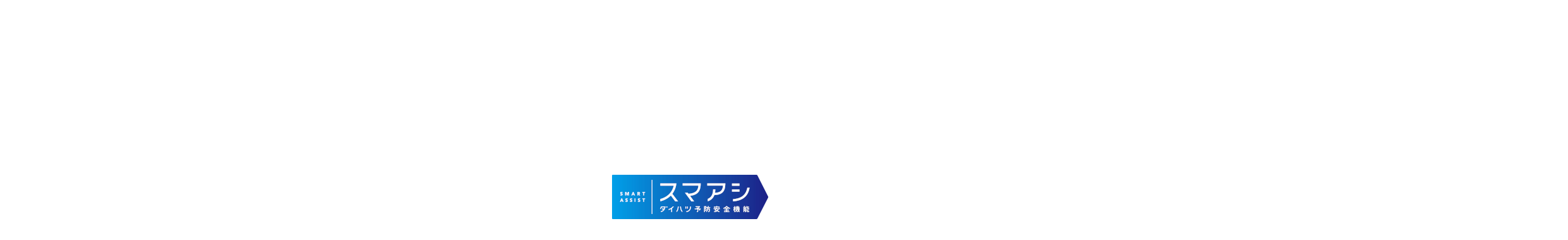 ダンディスポーツ価格