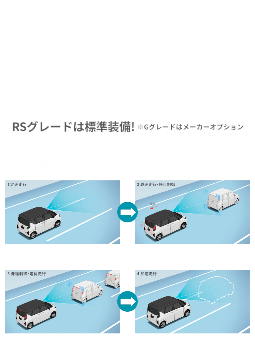 ダンディスポーツACC
