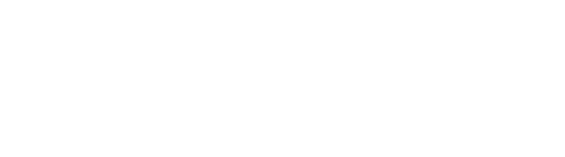 ダンディスポーツディーラーオプション装備