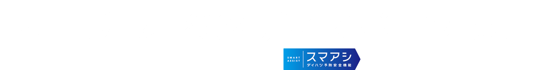 ダンディスポーツディーラーオプション装備