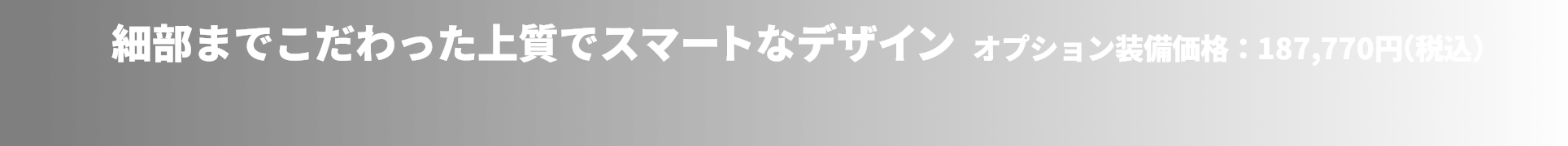 スポーティなデザインをより際立たせるオプション装備