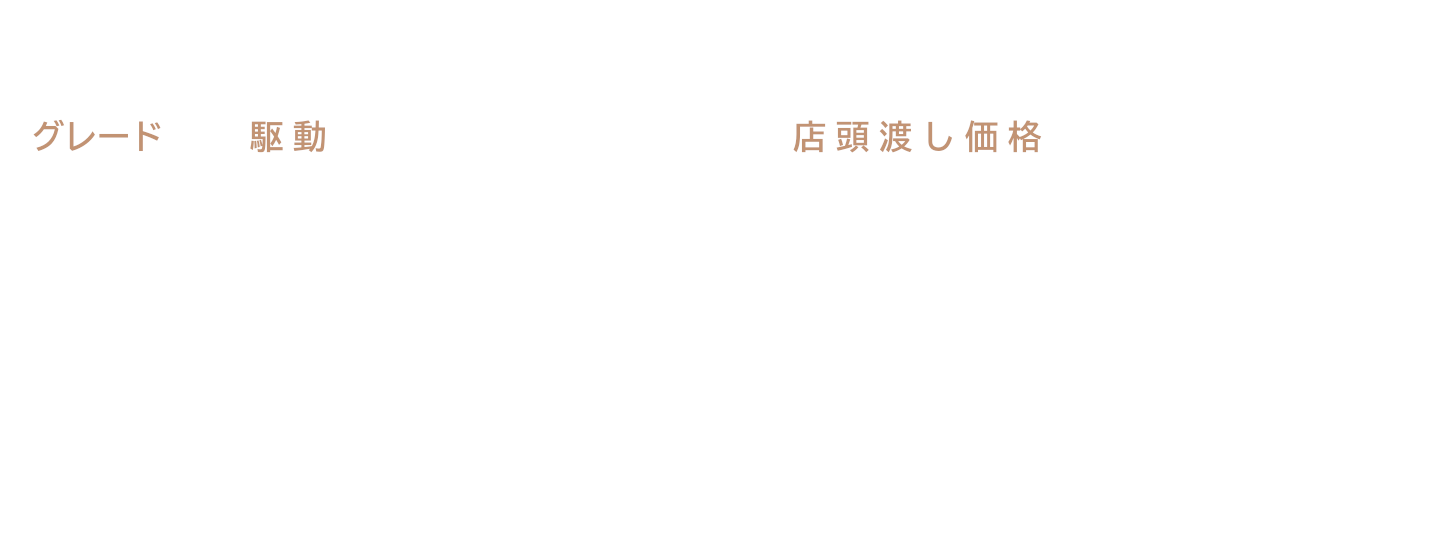 ダンディスポーツ価格表