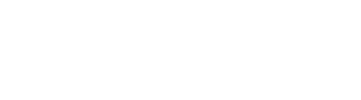 ダンディスポーツディーラーオプション装備