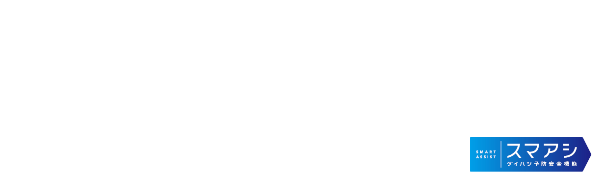 ダンディスポーツディーラーオプション装備
